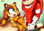  bbmbbf knuckles_the_echidna mobius_unleashed palcomix sega sonic_(series) sonic_boom sonic_the_hedgehog_(series) sticks_the_jungle_badger tagme 