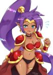  1girl alternate_costume bikini_armor cosplay impossible_clothes long_hair purple_hair revealing_clothes shantae shantae_(character) 