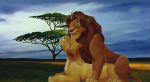  disney nala simba the_lion_king 