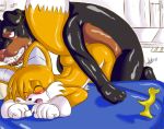  miles_&quot;tails&quot;_prower sonic_team tagme tail 