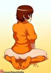  anus ass bottomless freckles noise_tanker nt_(artist) pussy scooby-doo socks solo velma_dinkley 