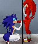  2boys anthro ass big_ass big_penis clothing eyeshadow fellatio furry girly glory_hole knuckles_the_echidna legwear makeup male male/male male_only oral penis pranky pranky_(artist) sega sex sonic_(series) sonic_the_hedgehog stockings testicles yaoi 