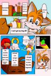  anthro blue_eyes canine comic digital_media_(artwork) duo echidna english_text fox furry hair knuckles_the_echidna male mammal michiyoshi miles_&quot;tails&quot;_prower monotreme orange_hair sega smile text 