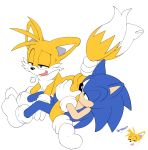 2016 absurd_res alpha_channel anal anthro ass canine clothing duo erection fox furry hedgehog highres legwear male male/male mammal miles_&quot;tails&quot;_prower nude oral penis rimming sega senshion sex socks sonic_the_hedgehog sonic_the_hedgehog_(series) testicles young