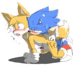  anal anal_penetration anthro canine duo fox furry giga_(artist) hedgehog male male/male mammal miles_&quot;tails&quot;_prower penetration penis sega sonic_the_hedgehog 