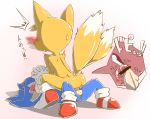  anal anal_penetration anthro canine duo fox furry giga_(artist) hand_holding hedgehog internal male male/male mammal miles_&quot;tails&quot;_prower penetration penis sega sonic_the_hedgehog testicles 