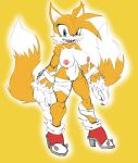 1girl 2016 anthro areola big_breasts breasts canine erect_nipples fox furry genderswap high_res huge_breasts mammal miles_&quot;tails&quot;_prower millie_tailsko nipples nude pussy sega slashysmiley sonic_*(series) sonic_the_hedgehog_(series) soulteam werefox
