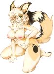  1girl animal_ears big_breasts blonde_hair breasts cute furry hair heterochromia long_hair nipples nude sitting slugbox smile tail 
