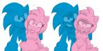  1girl 2016 amy_rose anthro areola big_breasts breasts duo erect_nipples erection extraspecialzone furry hedgehog male mammal nipples nude penis pussy sega smile sonic_the_hedgehog 