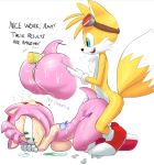  1girl amy_rose anal anthro breasts canine condom duo english_text fox furry hedgehog male mammal miles_&quot;tails&quot;_prower penis pussy sega sex sonic_boom text 