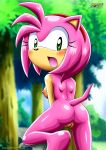 amy_rose ass bbmbbf mobius_unleashed nude palcomix pussy sega sonic_(series) sonic_the_hedgehog_(series) 