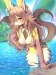  1girl 1girl 2016 amber_eyes anthro bikini blush bra breasts brown_hair canine chest_poof clothing cute ear_tag furry grass hair looking_at_viewer mammal nipples smile stripes swimsuit swimware tag underwear water white-castle 