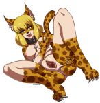  1girl 2016 anthro anus breast_grab breasts claws collar cross ear_piercing feline furry hand_on_breast leopard looking_at_viewer madopts mammal nipples piercing presenting pussy pussy_juice seductive simple_background spread_legs spreading white_background 