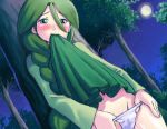  blush cheryl green_eyes green_hair moon panties pokemon pokemon_dppt skirt_lift tree 
