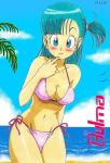  2007 beach bikini blue_hair blush breasts bulma bulma_brief dragon_ball_z looking_at_viewer standing 