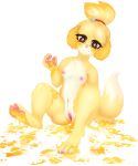  1girl 2016 animal_crossing anthro areola blush breasts canine chest_tuft clitoral_hood clitoris dance2forget digital_media_(artwork) dog fur furry hair high_res isabelle_(animal_crossing) looking_at_viewer mammal nintendo nipples nude paint pubic_hair pussy simple_background sitting smile tuft video_games yellow_fur 