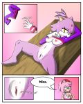  1girl amy_rose anthro blaze_the_cat bottomless breasts cat clothed clothing comic dialogue duo english_text feline female/female fur furry gloves green_eyes hair hedgehog mammal navel nipples pink_fur pink_hair purple_fur pussy raised_shirt sandunky sega spread_legs spreading text yellow_eyes 