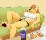  1girl 1girl 2016 anthro beverage big_breasts black_nose breasts brown_hair brown_pawpads canine cleavage closed_eyes clothed clothing controller dog eating food fur furry hair hindpaw inside lying mammal masak9 on_back panties pawpads paws pepsi pizza remote_control short_hair slightly_chubby soda sofa teeth underwear yellow_fur 