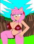  1girl 1girl 2015 absurd_res amy_rose anthro armpits big_breasts bikini breasts cleavage clothed clothing dreamcastzx1 furry hedgehog high_res mammal pink_body sega skimpy swimsuit 