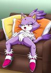  1girl bbmbbf blaze_the_cat mobius_unleashed nipples palcomix pussy sega sonic_(series) sonic_the_hedgehog_(series) 