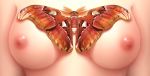  1_girl animal breasts close-up high_res insect medium_breasts moth nipples original seventhheaven upper_body 