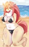  1girl 1girl achakura anthro beach bikini canine chest_tuft clothing ear_piercing furry looking_at_viewer mammal overweight piercing seaside shore standing sweat swimsuit tongue tongue_out tuft water 