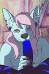 1girl 2017 anthro black_skin blue_fur blue_penis blue_skin blue_stripes breasts brown_eyes canine chihuahua dog duo ear_piercing faceless_male fellatio first_person_view fur furry gif glans green_eyes hair interspecies jeanwoof long_hair male male/female male_pov mammal nails oral original original_character penis penis_grab piercing pink_hair sex shaded stripes