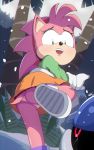  1boy 1girl 1girl amy_rose angel_island anthro ass classic_amy_rose clothing exposed_ass exposed_pussy hair hedgehog high_resolution male mammal metal_sonic palm_tree pink_fur pink_hair pussy robot rosy_the_rascal sega snow sonic_mania sonic_mania_adventures sonic_the_hedgehog_(series) tail tree video_game wildblur 