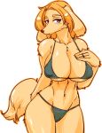 1girl anthro big_breasts bikini breasts brown_eyes brown_fur brown_hair canine cleavage clothed clothing dog fluffy_tail fur furry hair hand_on_breast kazuhiro looking_at_viewer mammal navel open_mouth simple_background standing swimsuit white_background