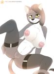  1girl anthro breasts cat clothing feline fur furry hair legwear mammal nipples nude pussy stockings xorza 