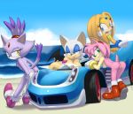  amy_rose anthro blaze_the_cat breasts furry rouge_the_bat sega sonic_(series) 
