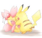  cherrim nintendo pikachu pokemon 