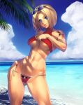 1girl beach bikini blue_mary breasts female_only king_of_fighters ocean ogami outside palm_tree solo_female