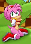  1girl amy_rose bbmbbf mobius_unleashed palcomix sega 