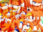  alluring bbmbbf mobius_unleashed palcomix sega sonic_(series) sonic_the_hedgehog_(series) tikal_the_echidna 