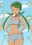  ;) artist_request big_breasts bikini hands_on_hips looking_at_viewer mallow mallow_(pokemon) mao_(pokemon) navel pokemon pokemon_sm smile wide_hips wink 