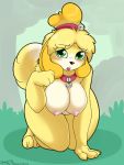  1girl 1girl 2017 absurd_res all_fours animal_crossing anthro areola big_breasts black_nose blonde_hair blush breasts canine collar dipstick_tail dog eyelashes furry green_eyes hair high_res isabelle_(animal_crossing) looking_at_viewer mammal multicolored_tail nintendo nipples pussy shih_tzu skoon video_games 