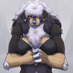 1girl 2014 black-kalak blue_nose blue_tongue bra canine clothed clothing dog elbow_tufts grey_eyes hair hair_over_eye looking_at_viewer mammal muscular muscular_female neck_tuft tongue tongue_out tuft underwear 