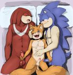 3boys age_difference anthro battle_angel canine echidna fox furry group group_sex handjob hedgehog humanoid_penis knuckles_the_echidna male male/male mammal miles_&quot;tails&quot;_prower monotreme penis sega sex sonic_(series) sonic_the_hedgehog testicles threesome yaoi young