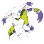  1girl anthro areola bell bell_collar belly big_breasts black_nose blue_eyes breasts claws clitoris clothing collar dicey digimon ear_tuft feline fur furry gatomon gloves long_tail mammal nipples one_eye_closed pink_nipples pussy tail_ring tealxstreak tuft white_fur wink 
