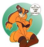  1girl 1girl 2017 anthro areola arnachy badger blue_eyes bra breasts clothing dialogue english_text furry high_res legwear lingerie looking_at_viewer mammal mustelid nipples open_mouth sega sonic_boom sticks_the_jungle_badger text underwear 