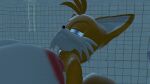  miles_&quot;tails&quot;_prower sega sonic_the_hedgehog_(series) tagme thehumblefellow underwater underwater_sex vanilla_the_rabbit 