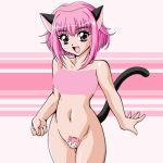 1girl amy_rose belly_button cat_ears cat_tail ichigo_momomiya legs momomiya_ichigo nude pink_eyes pink_hair tokyo_mew_mew