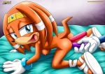  ass bbmbbf dildo mobius_unleashed palcomix pussy sega sex_toy smile sonic_(series) sonic_the_hedgehog sonic_the_hedgehog_(series) tikal_the_echidna 