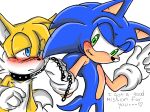  anthro blue_eyes blush clothing collar furry gloves green_eyes leash male miles_&quot;tails&quot;_prower patrial sega sonic_the_hedgehog 