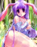  1girl animal_ears ass bamboo bamboo_forest blush breasts bunny_ears female forest kobanzame light_rays long_hair nature nipples panties panty_pull purple_hair purple_panties reisen_udongein_inaba skirt solo sunbeam sunlight tears torn_clothes touhou underwear 