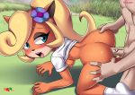  1girl 1male activision all_fours ass bbmbbf coco_bandicoot crash_bandicoot_(series) fur34 fur34* naughty_dog nipples palcomix penis playstation sony sony_corporation sony_interactive_entertainment vaginal_penetration 