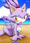  bbmbbf blaze_the_cat blush moaning mobius_unleashed nude palcomix sega sonic_(series) sonic_the_hedgehog_(series) tagme vibrator 