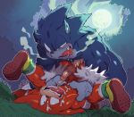 anal anal_penetration anthro duo echidna furry knuckles_the_echidna male male/male mammal monotreme penetration penis sega sonic_the_hedgehog sonic_the_werehog testicles werehog ziroro326