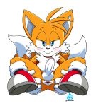  1boy asking_for_it bedroom_eyes blue_eyes blush chest_tuft coolblue erection eyebrows fox gaping_anus gloves half-closed_eyes humanoid_penis legs_up miles_&quot;tails&quot;_prower multiple_tails presenting_anus sega shoes smile spread_anus sweat tail testicles 